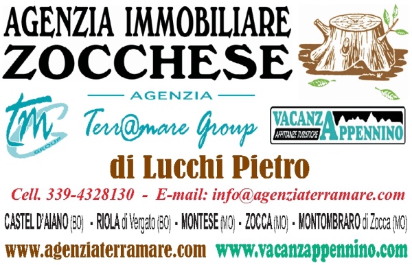 Ag. Immobiliare Zocchese 0 (0)