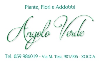 Angolo Verde - Piante, fiori e addobbi Pro Loco Zocchese prolocozocca.it 