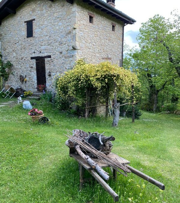 Home Restaurant  Il bosco incantato di casa Remolino 0 (0)