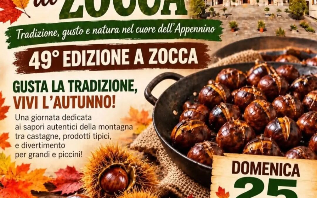 Novità da @prolocozocchese 0 (0)