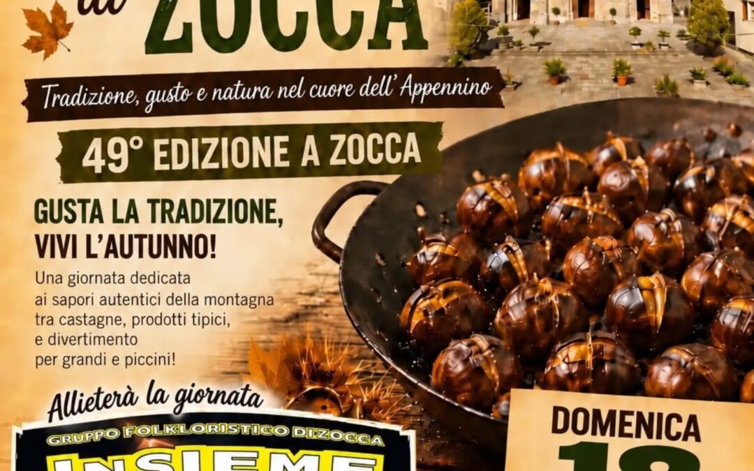 Novità da @prolocozocchese 0 (0)